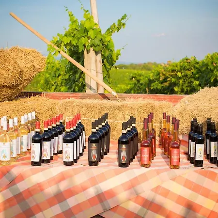 Alloggio per agriturismo Fattoria La Palagina Figline Valdarno