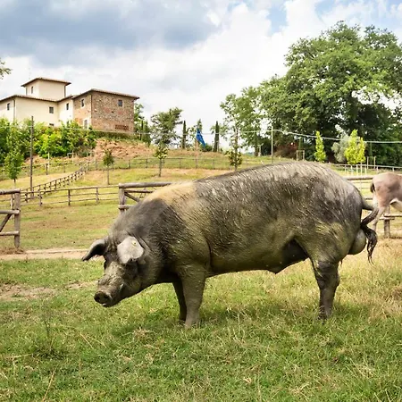 Fattoria La Palagina * Figline Valdarno