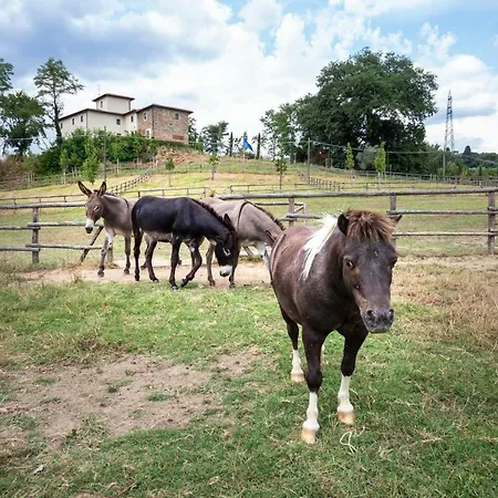 Fattoria La Palagina *