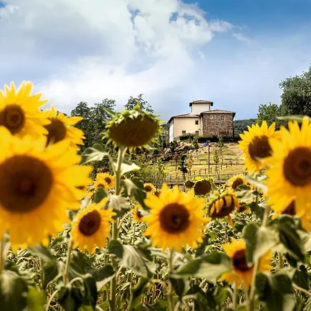 Palagina La Cascina Figline Valdarno