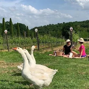 Palagina La Cascina